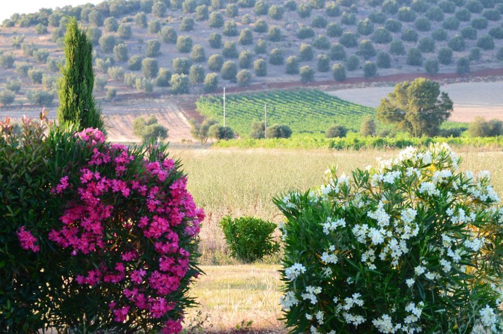 Agrialbergo كابالبيو المظهر الخارجي الصورة